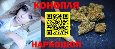 тгк Обь