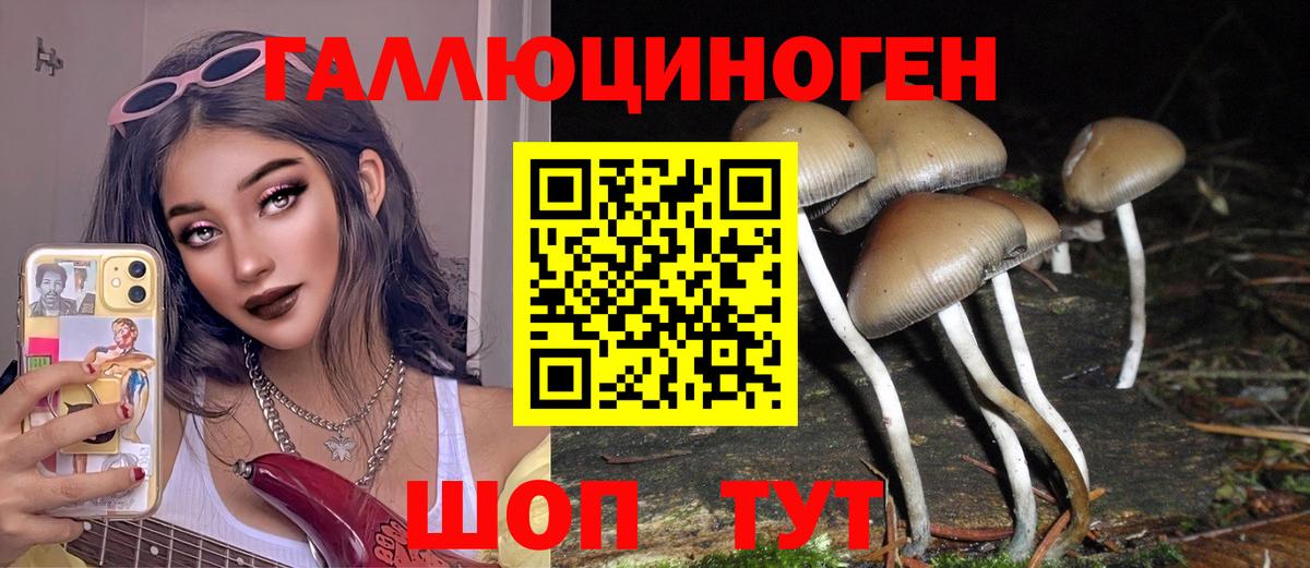 Псилоцибиновые грибы Cubensis Северобайкальск