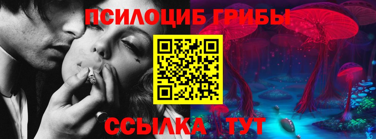 Северобайкальск  Галлюциногенные грибы прущие грибы  Вход с VPN  Псилоцибиновые грибы мухоморы 